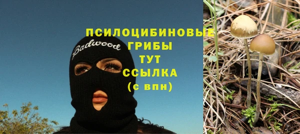 гидропоника Вязники
