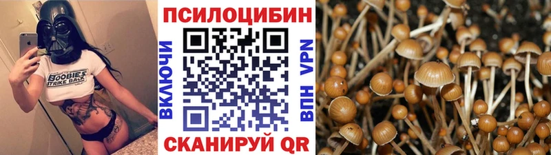 Псилоцибиновые грибы Psilocybe Обь