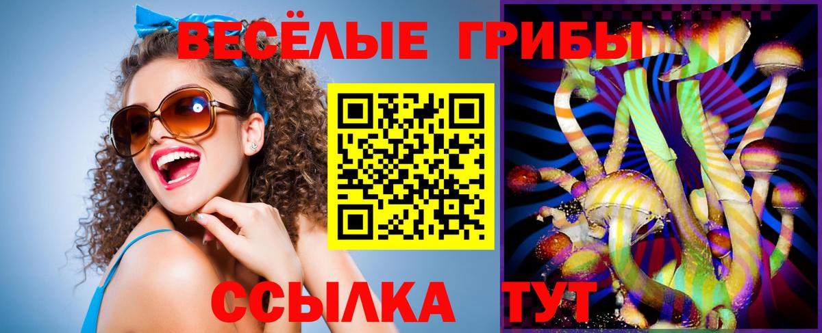 Обь  Псилоцибиновые грибы Psilocybine cubensis  Вход с VPN 
